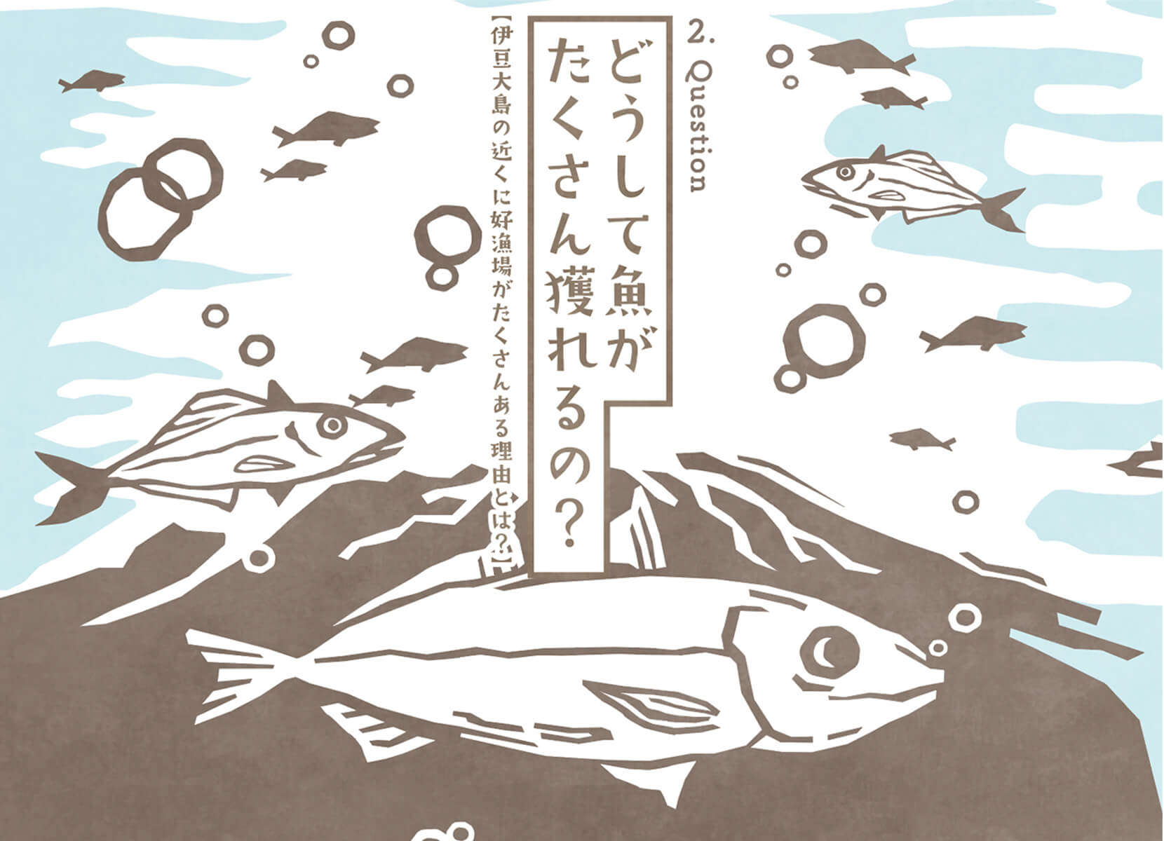 どうして魚がたくさん獲れるの？