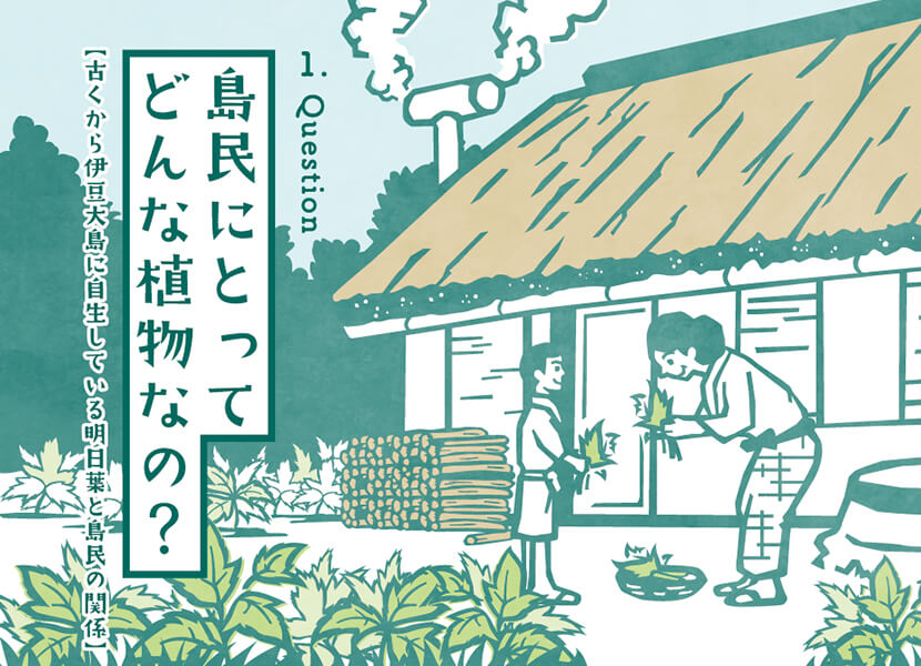 島民にとってどんな植物なの？
