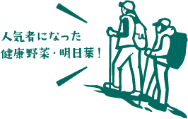 明日葉イラスト