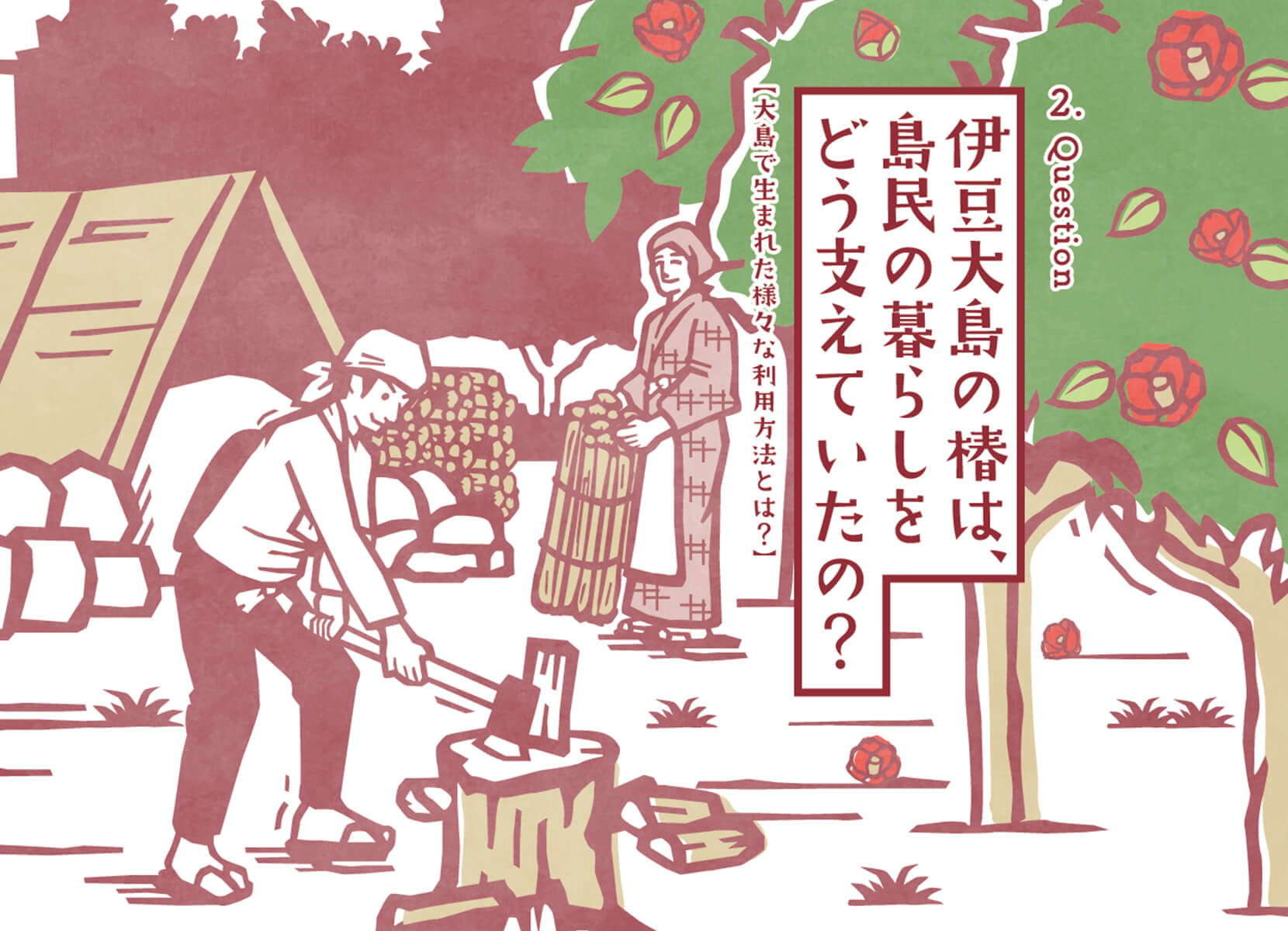 伊豆大島の椿は島民の暮らしをどう支えていたの？