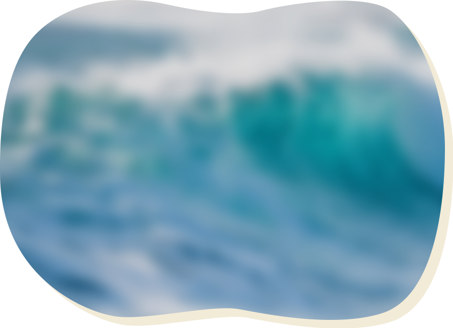 海産物